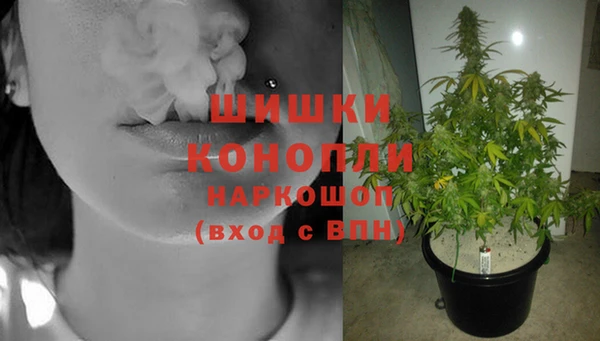 ПСИЛОЦИБИНОВЫЕ ГРИБЫ Кодинск