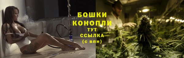 ПСИЛОЦИБИНОВЫЕ ГРИБЫ Кодинск