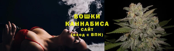 ПСИЛОЦИБИНОВЫЕ ГРИБЫ Кодинск