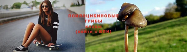 гидропоника Козловка
