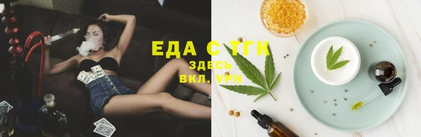дмт Козельск