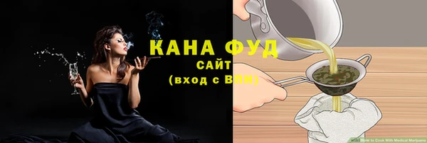 дмт Козельск