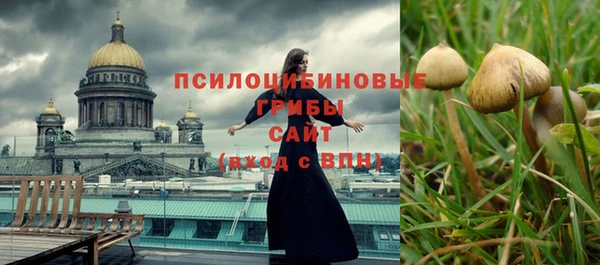 гидропоника Козловка