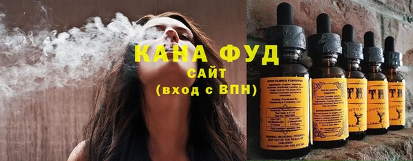 дмт Козельск