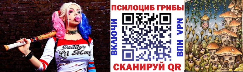 Галлюциногенные грибы MAGIC MUSHROOMS  Купить закладки  Рошаль 